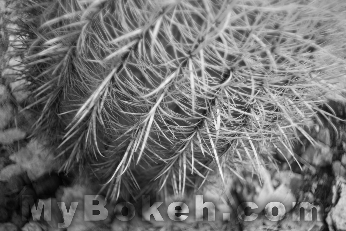 Enna Werk Munchen SUPER-LITHAGON 35mm f/2.5 lens