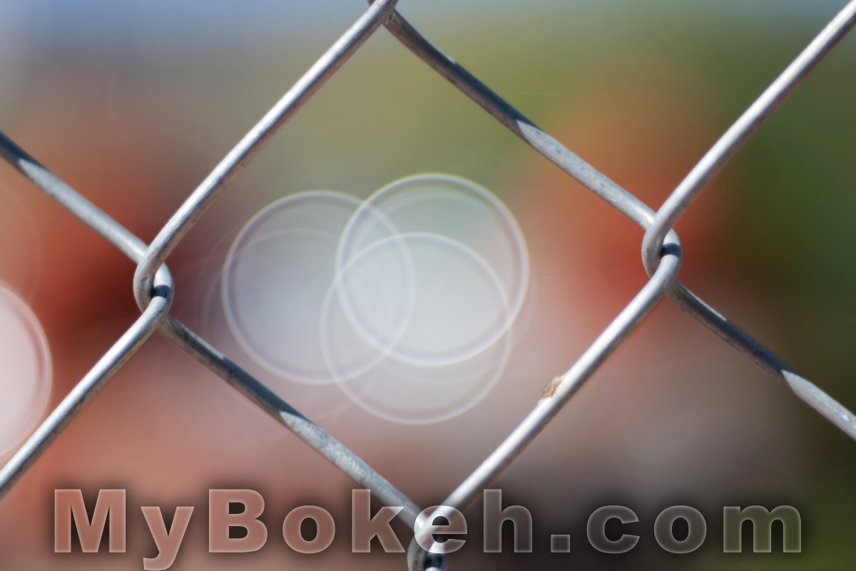 Kilfitt / Zoomar 90mm f/2.8 Macro-Kilar Lens Bokeh 8