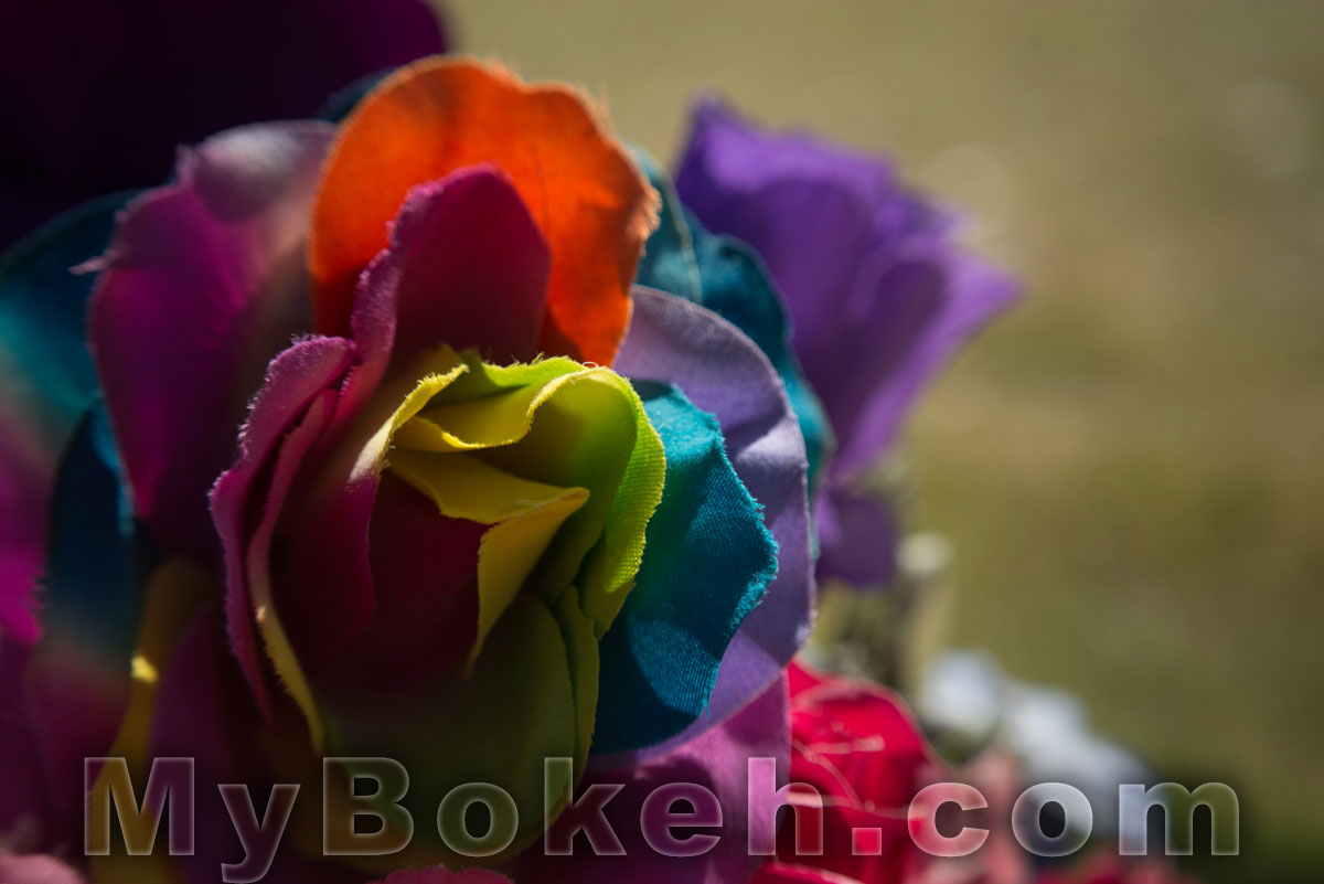 Macro-NIKKOR 65mm f/4.5 Lens Bokeh 5