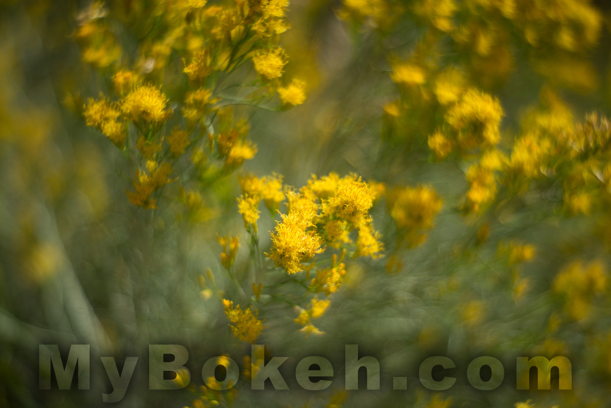 Meyer-Optik Gorlitz Primoplan 58mm f/1.9 E