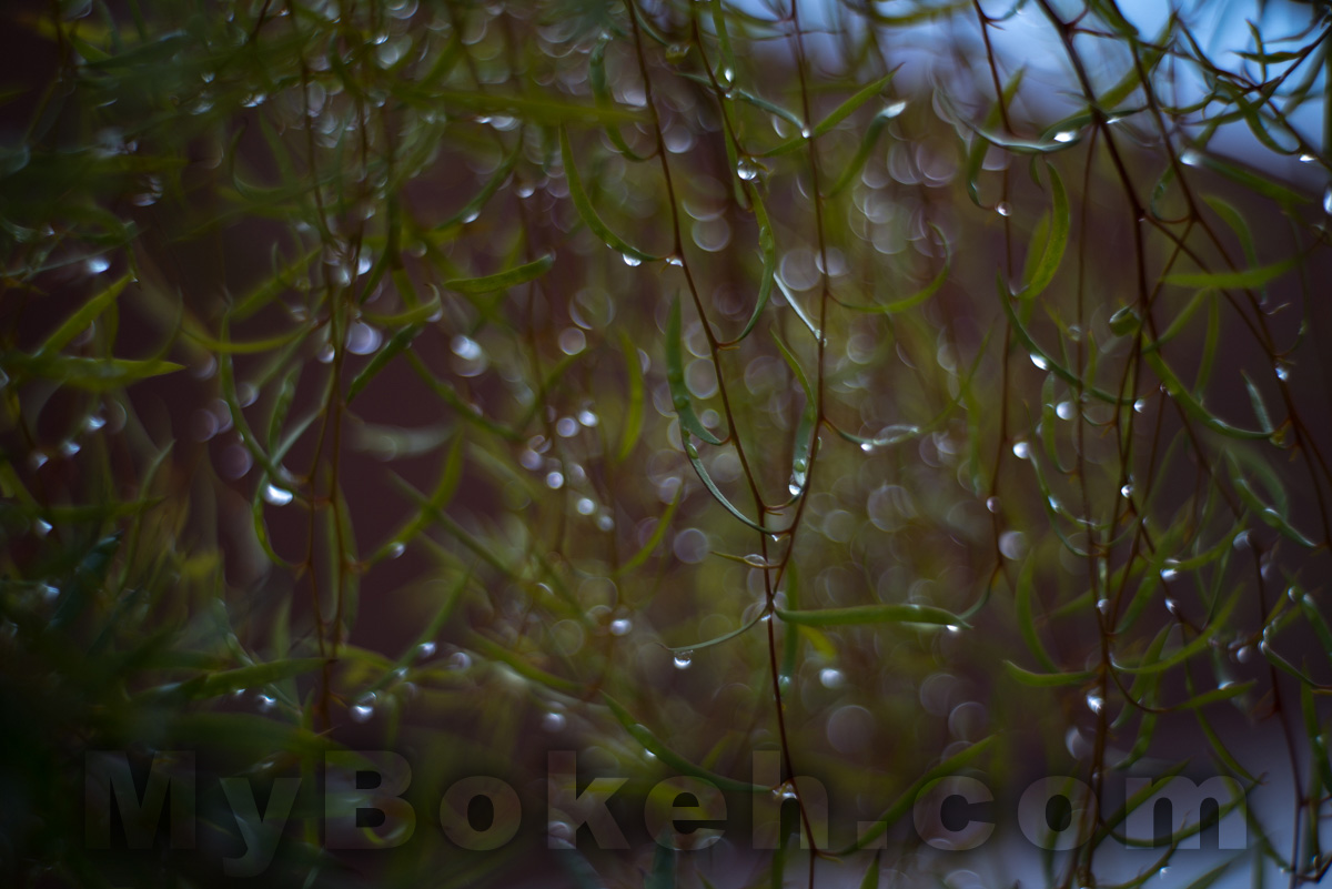 Meyer-Optik Gorlitz Primoplan 58mm f/1.9 C