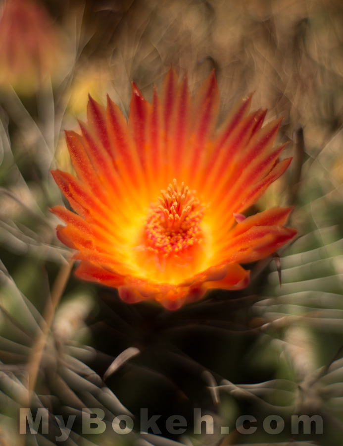 Meyer-Optik Gorlitz Primoplan 58mm f/1.9 B