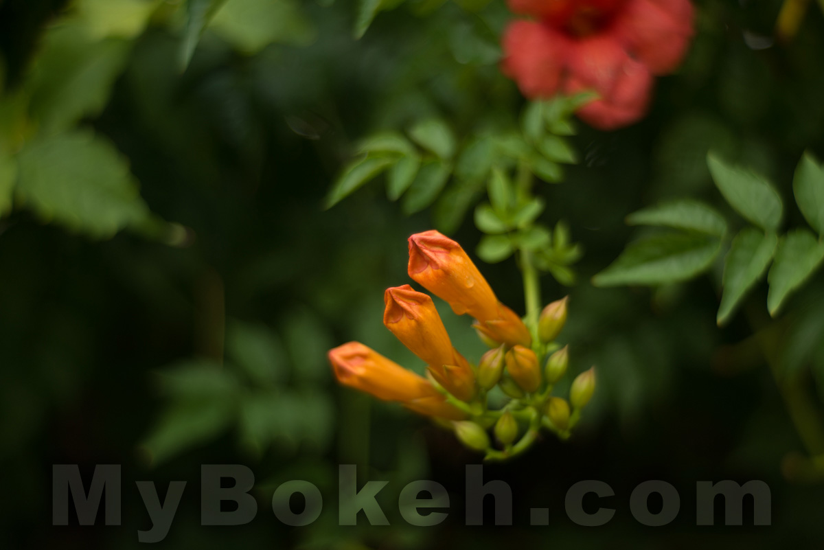 Meyer-Optik Gorlitz Primoplan 58mm f/1.9 F