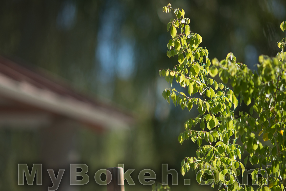 200mm Nikkor f/2.0 3