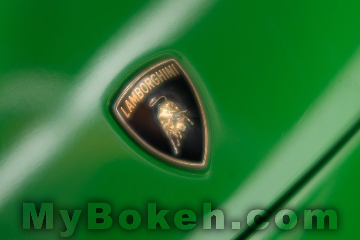 DC-NIKKOR 135mm f2.0 D Lens Bokeh 5