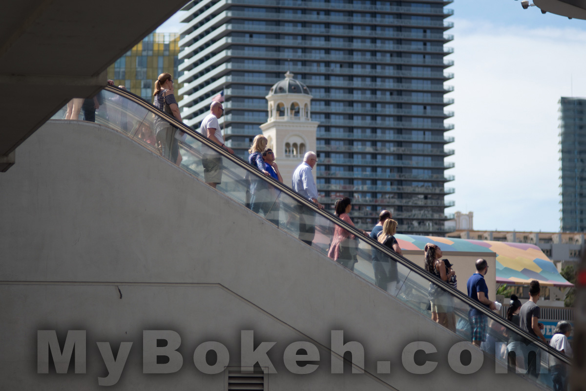 Soligor 135mm f/2.8 PRESET Lens Bokeh