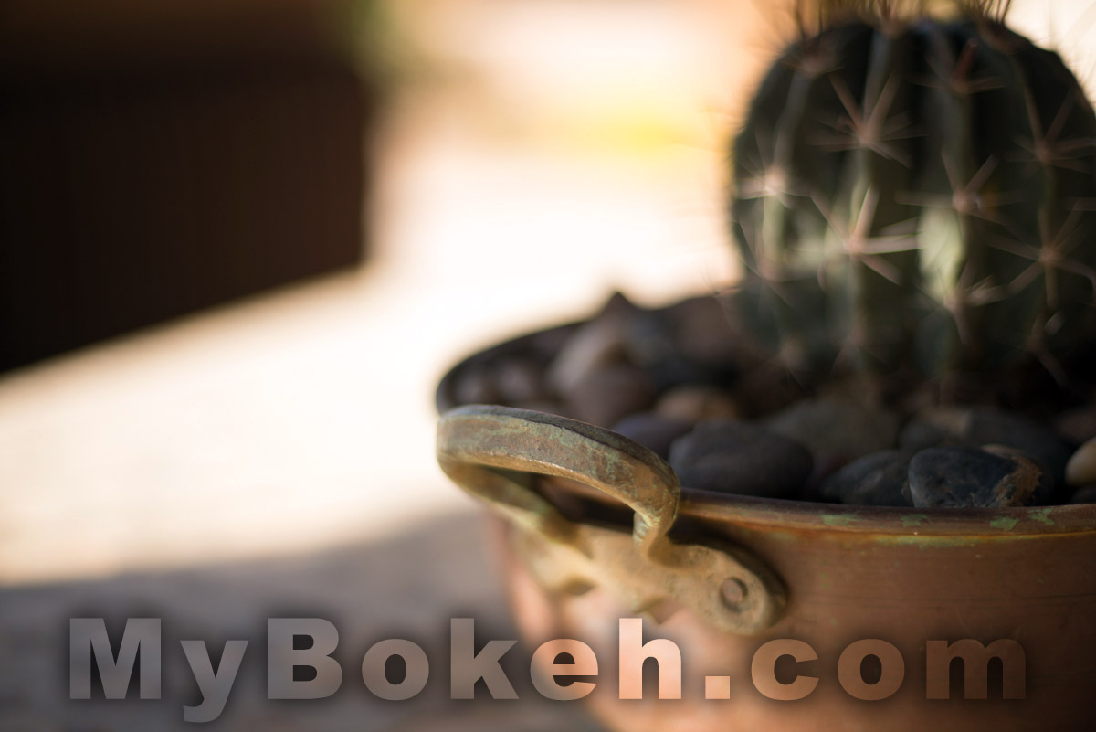 Voigtlander NOKTON 58mm f1.4 Lens Bokeh 5