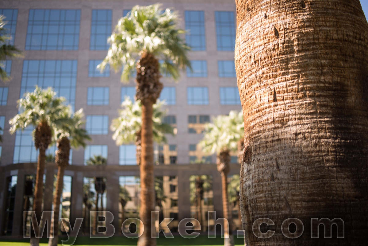 Carl Zeiss DISTAGON ZF 35mm f/2.0 Lens Bokeh 7